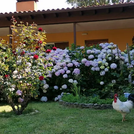 Rural El Retiro De San Pedro By Retirorural Szálloda Arenas de San Pedro