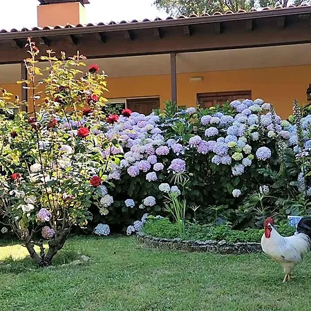 Hotel Rural El Retiro De San Pedro By Retirorural